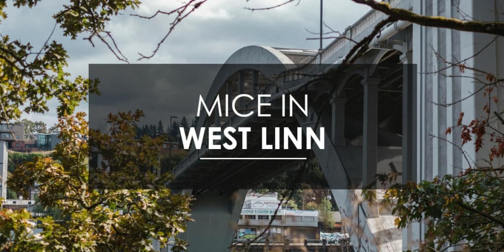 Mice control West Linn
