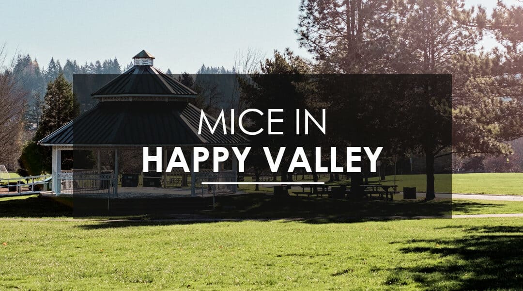 Mice Control in Happy Valley