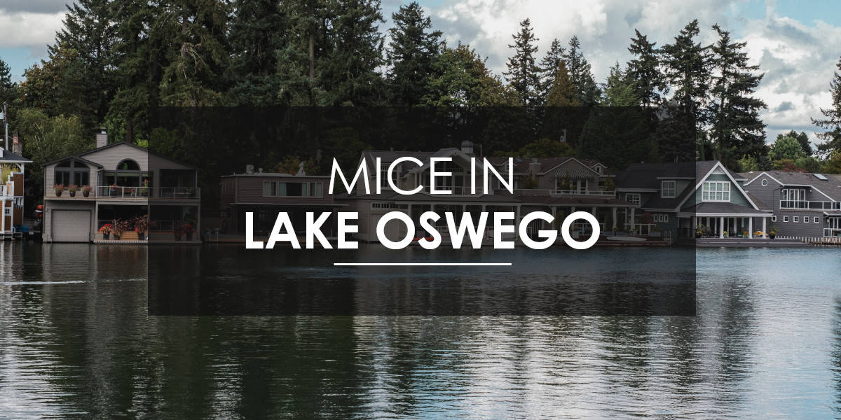 Mice control Lake Oswego