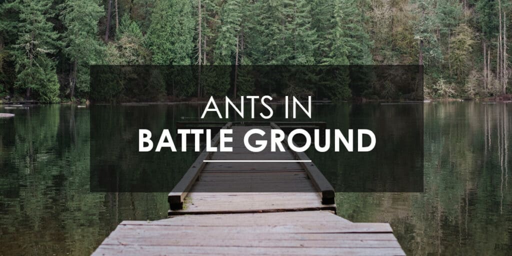 Ant Control in Battle Ground Aspen Pest Control