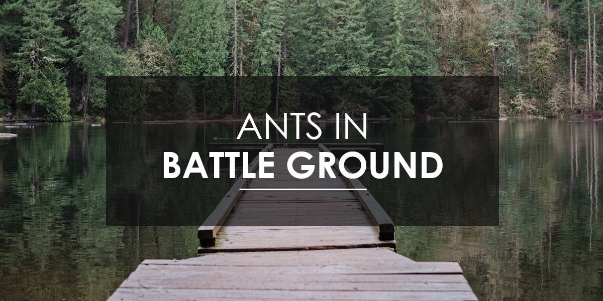 Ant control Battle Ground