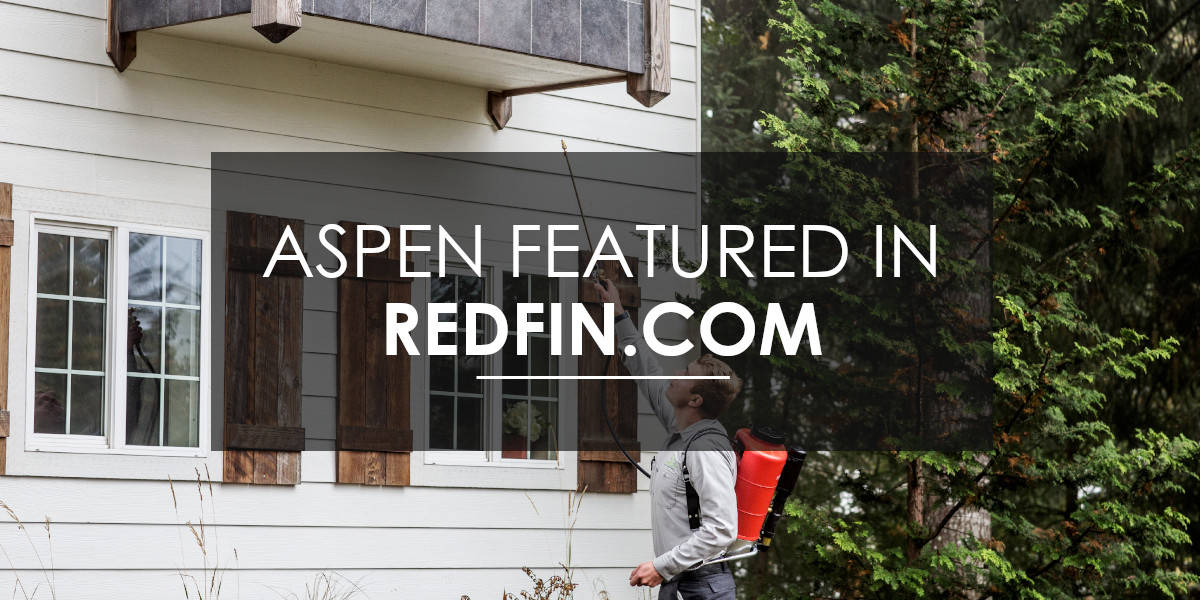 Aspen in redfin for ant control