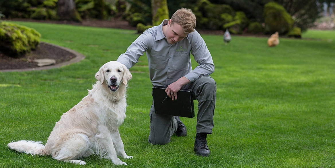 Aspen Pest Control Technician petting a dog 
