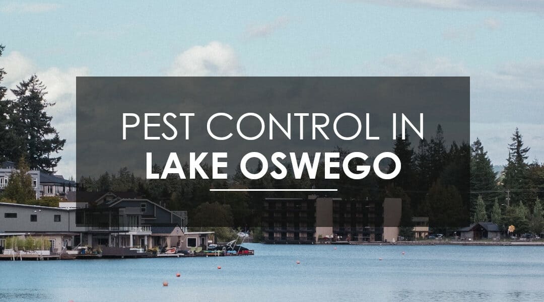 Lake Oswego Extermination Services