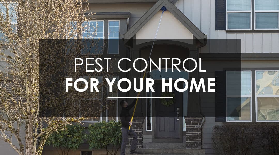 Why Should I Consider  Quarterly Pest Control Service? Why regular, preventative pest control matters to residents of Vancouver, Camas, and Ridgefield