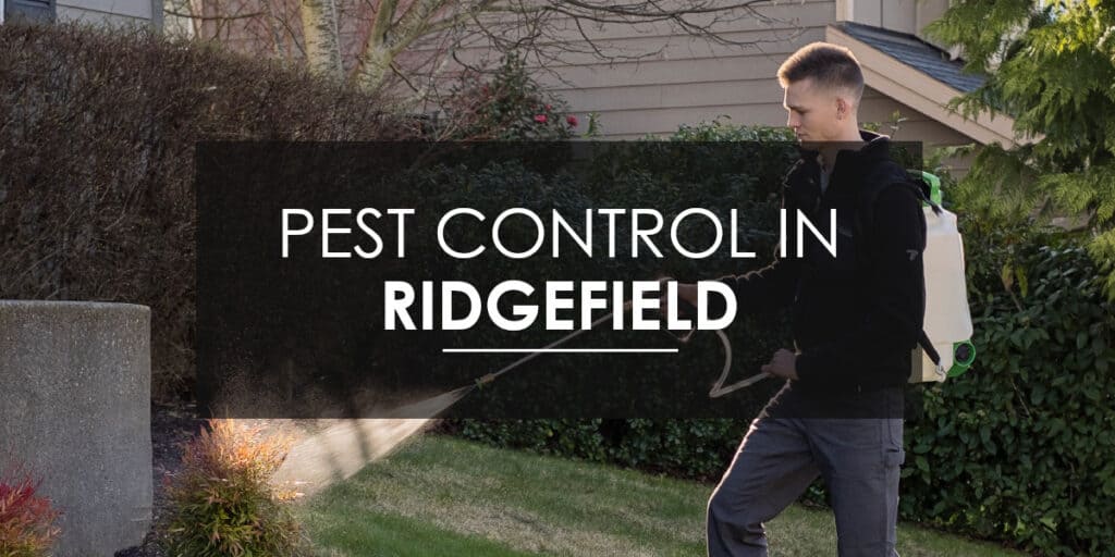 Quarterly Maintenance in Ridgefield