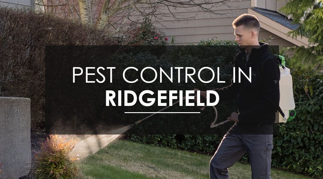 Quarterly Pest Control Services: Why homeowners in Ridgefield Choose the Home Protection Plan