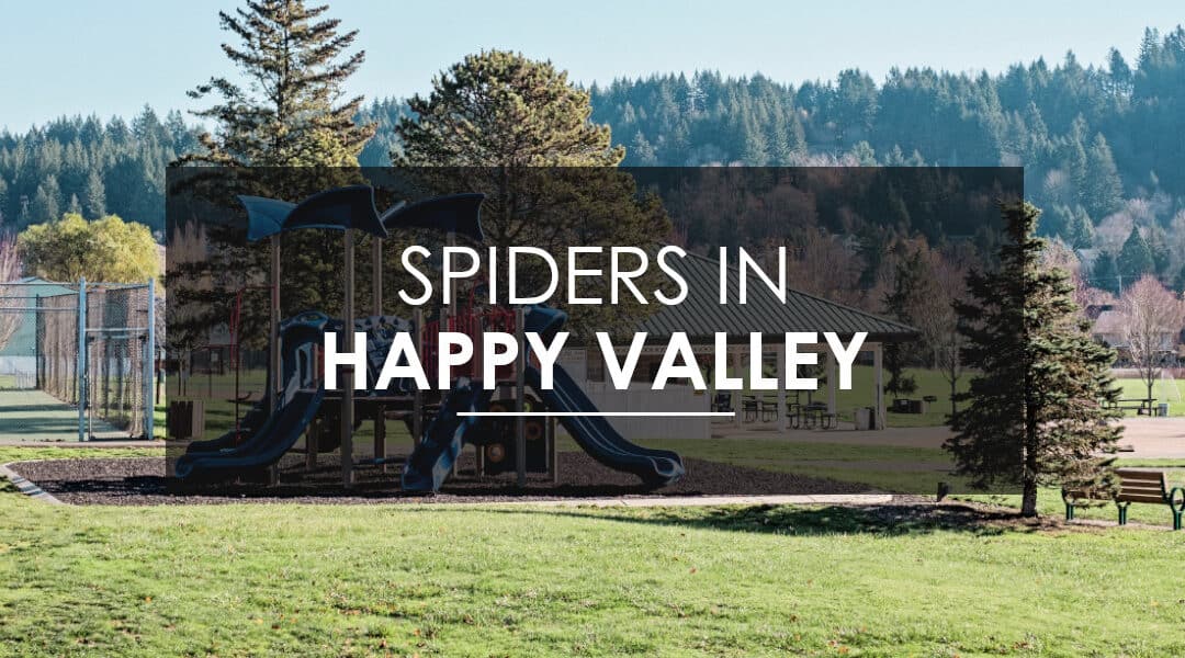 Spider Season in the Pacific Northwest: How to Keep your Happy Valley Home Free of Spiders