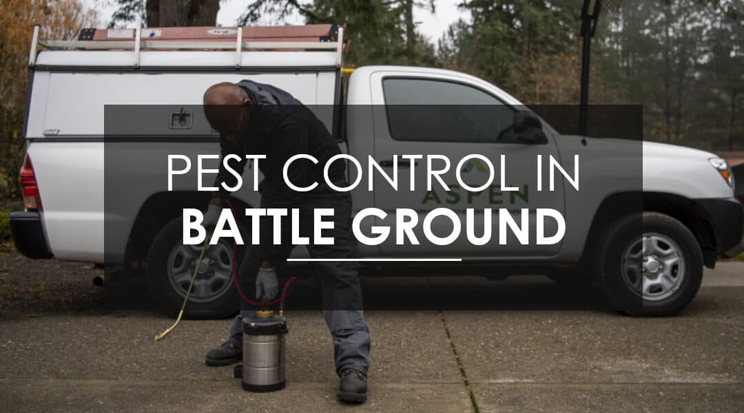 “Are the Pests Going to Come Back?” Why Battle Ground Loves the Aspen Pest Control Home Protection Plan