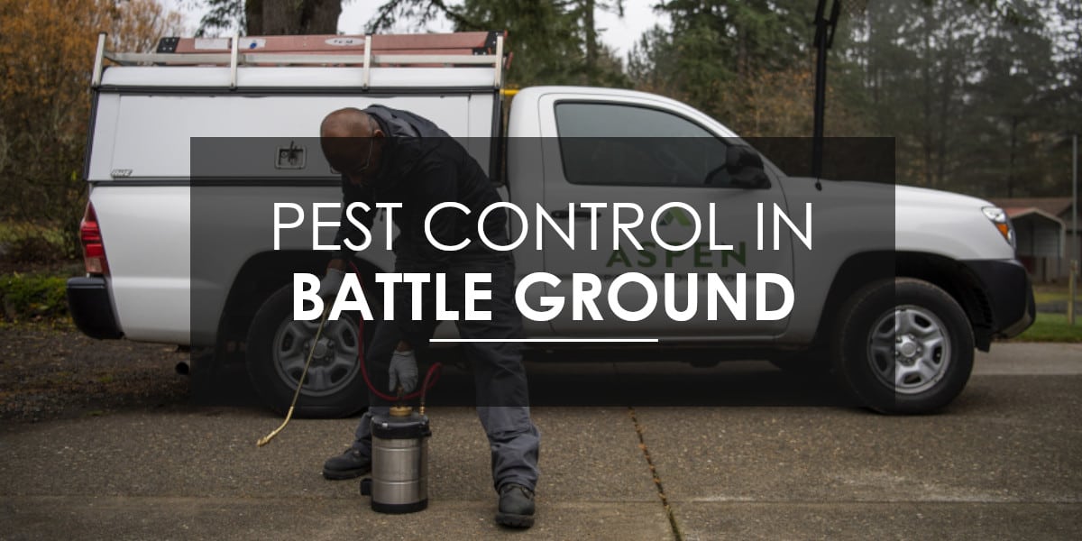 Pest Control in Battle Ground