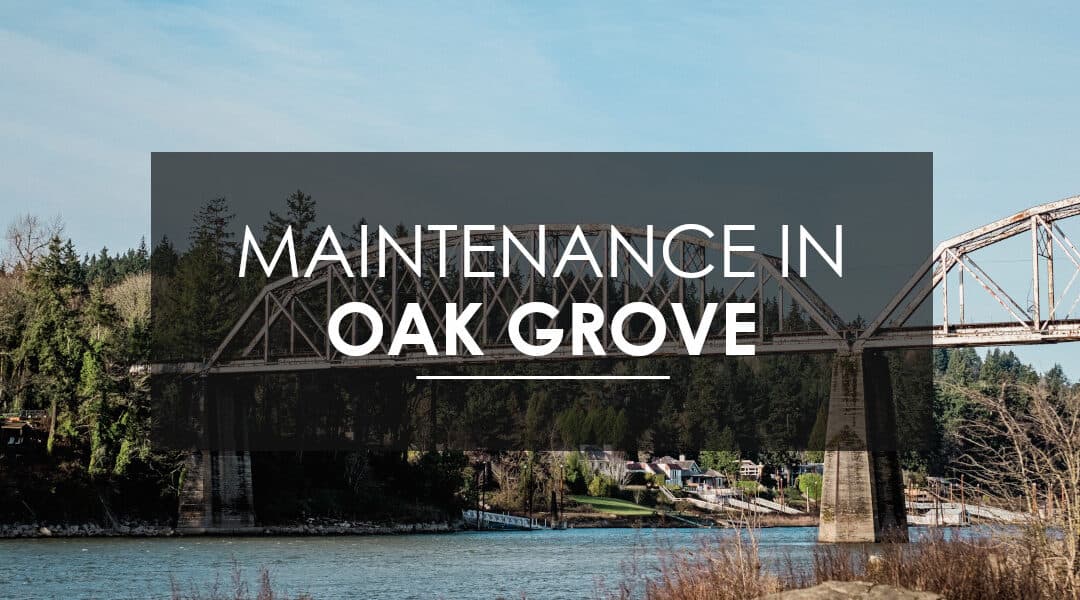 Why Your Oak Grove Home Deserves Year-Round Pest Control Services