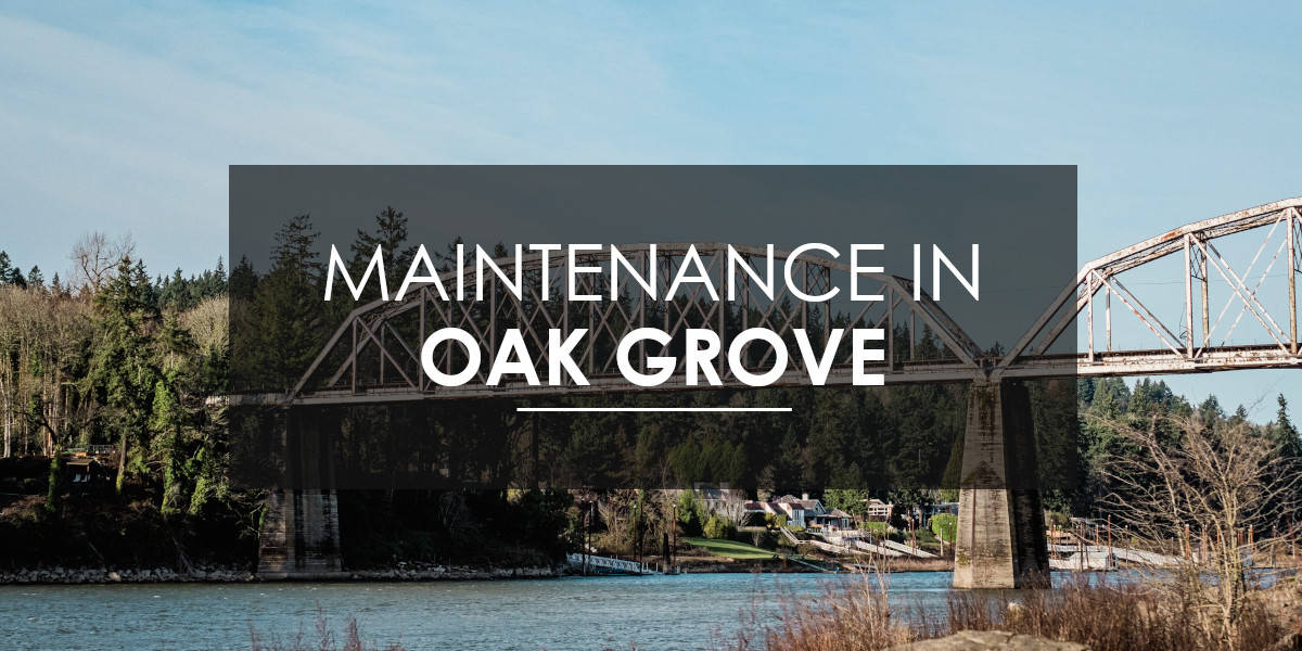 Pest Control in Oak Grove