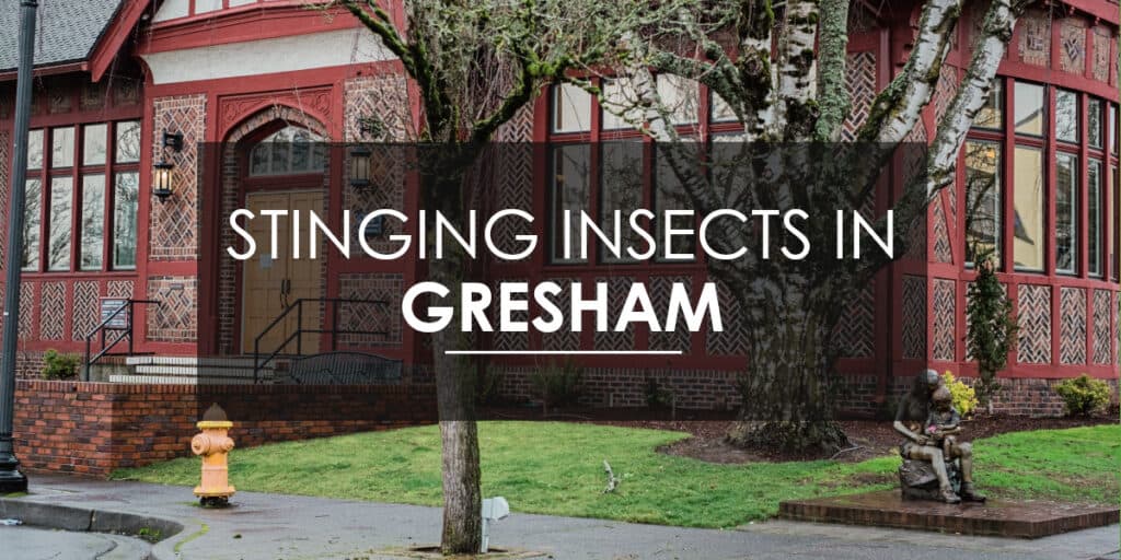 Stinging Insects in Gresham