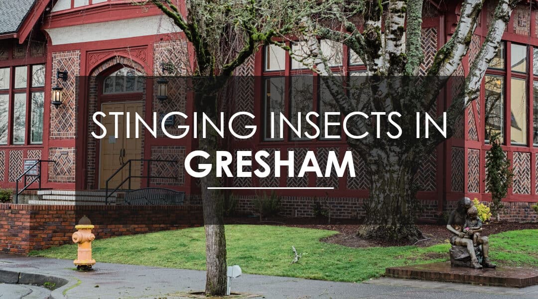 Exterminating Wasps, Hornets, and Yellow Jackets in Gresham