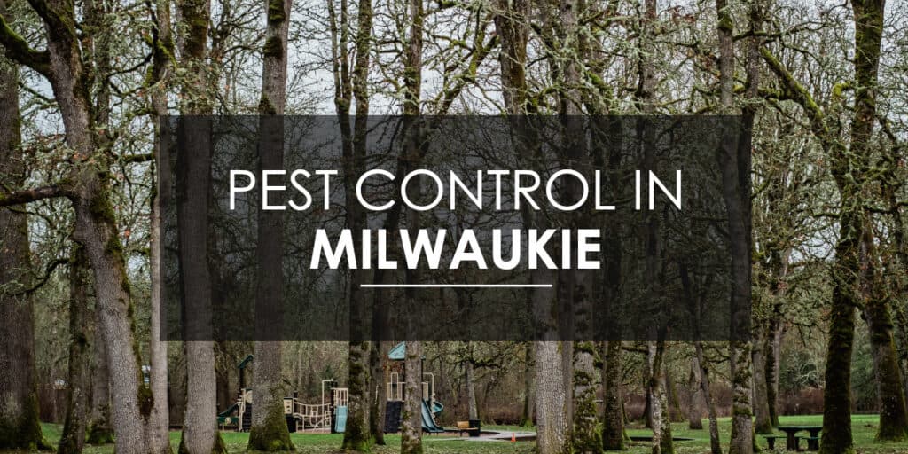 Pest Control in Milwaukie