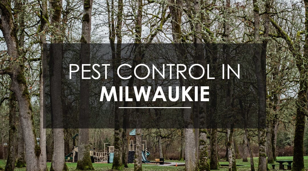 In Milwaukie, OR? Need Pest Control? You Need The Home Protection Plan!